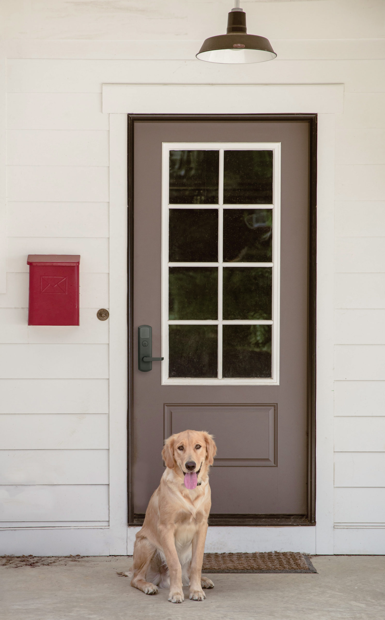 dog in front of a door with TownSteel hardware